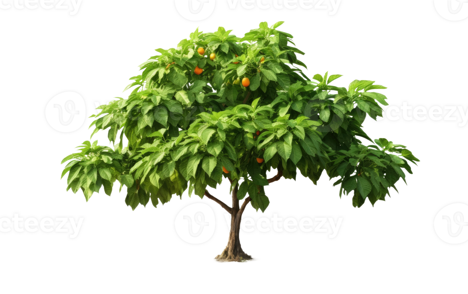AI generated Papaya Tree Elegance On Transparent Background. png