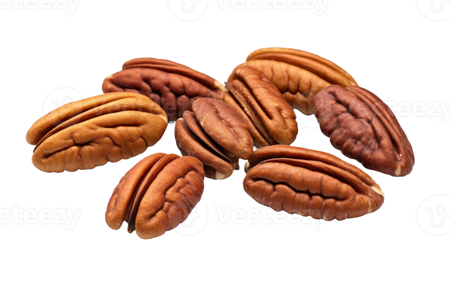 AI generated Pecan Presentation On Transparent Background png