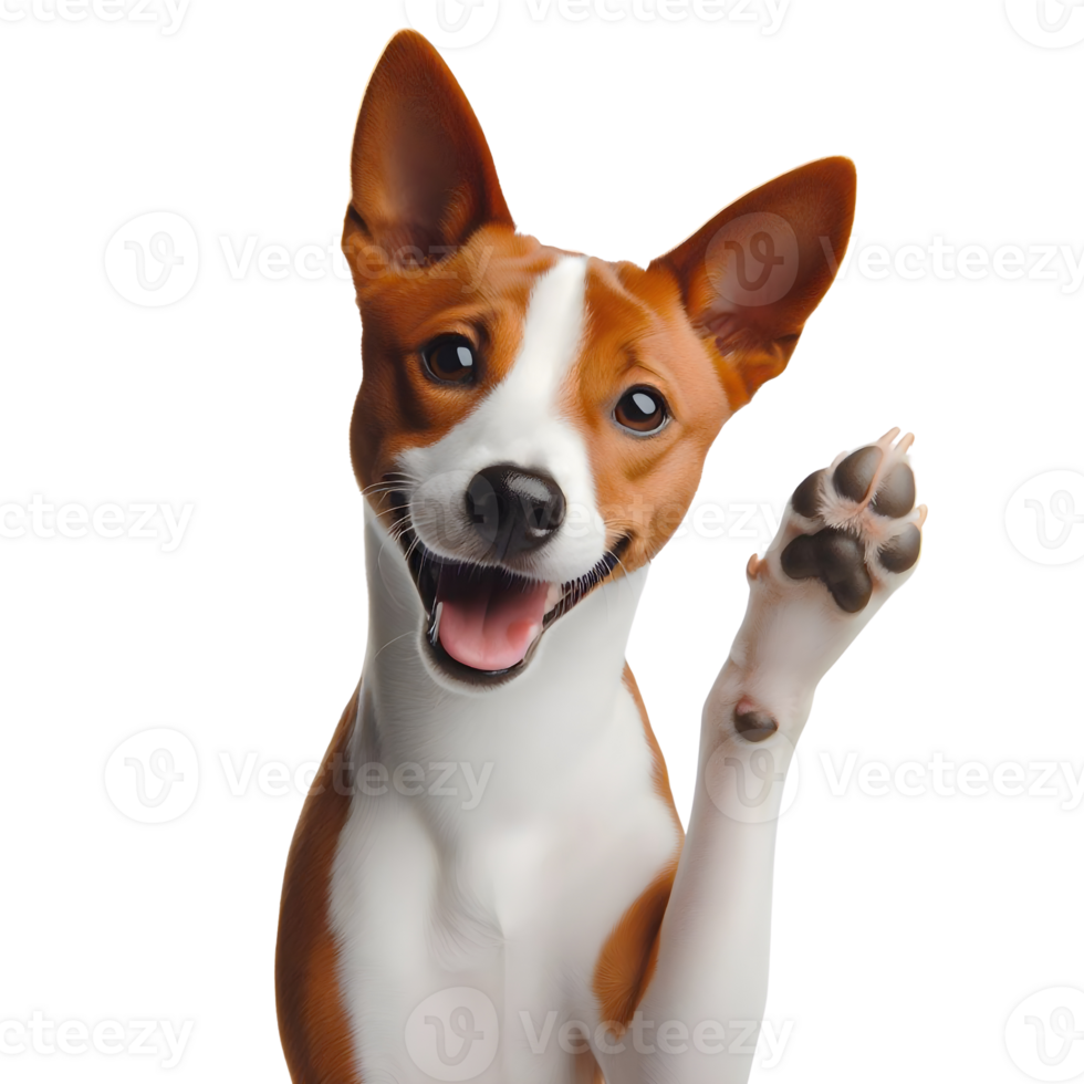 ai generato carino basenji cane sorrisi, mostrando alto cinque png