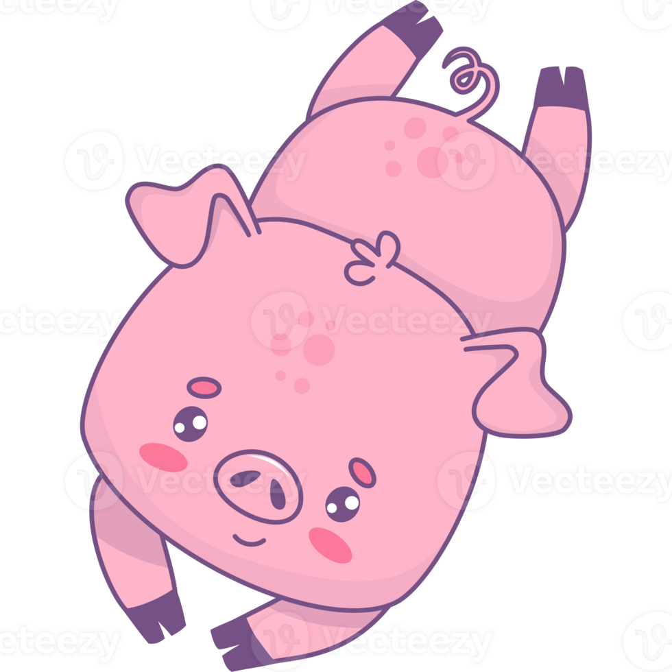 Lying funny pig png