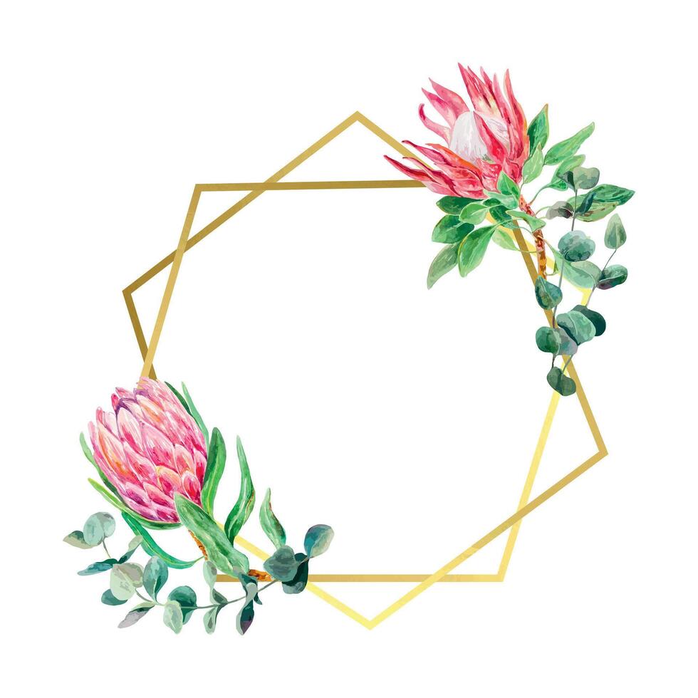 Protea watercolor, eucalyptus branch, gold frame. Vector illustration of pink flowers. Design element for cards, wedding invitations, banners, covers, labels, flyers.