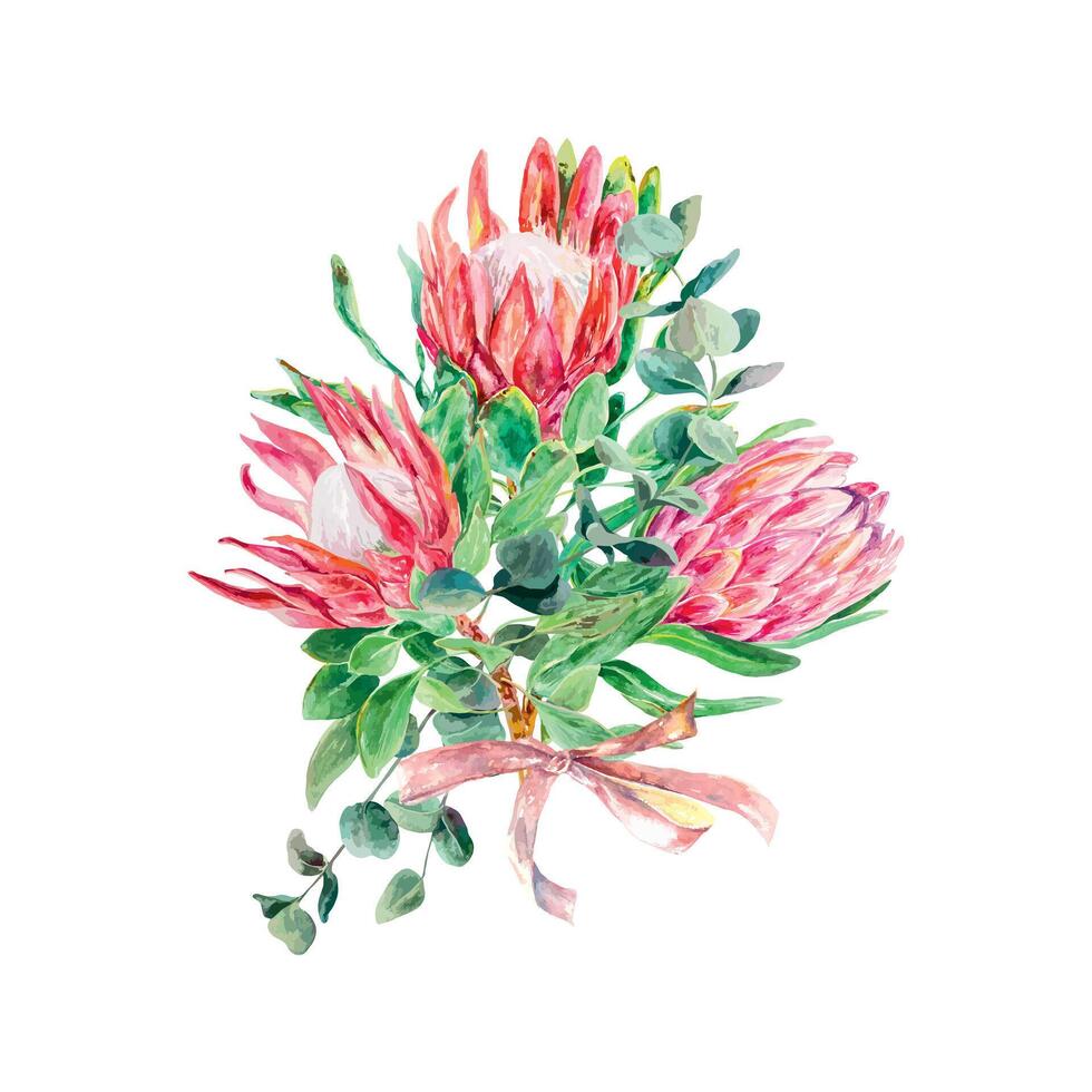 Protea watercolor. Vector illustration of a bouquet of pink flowers. Design element for cards, wedding invitations, banners, covers, labels, posters.