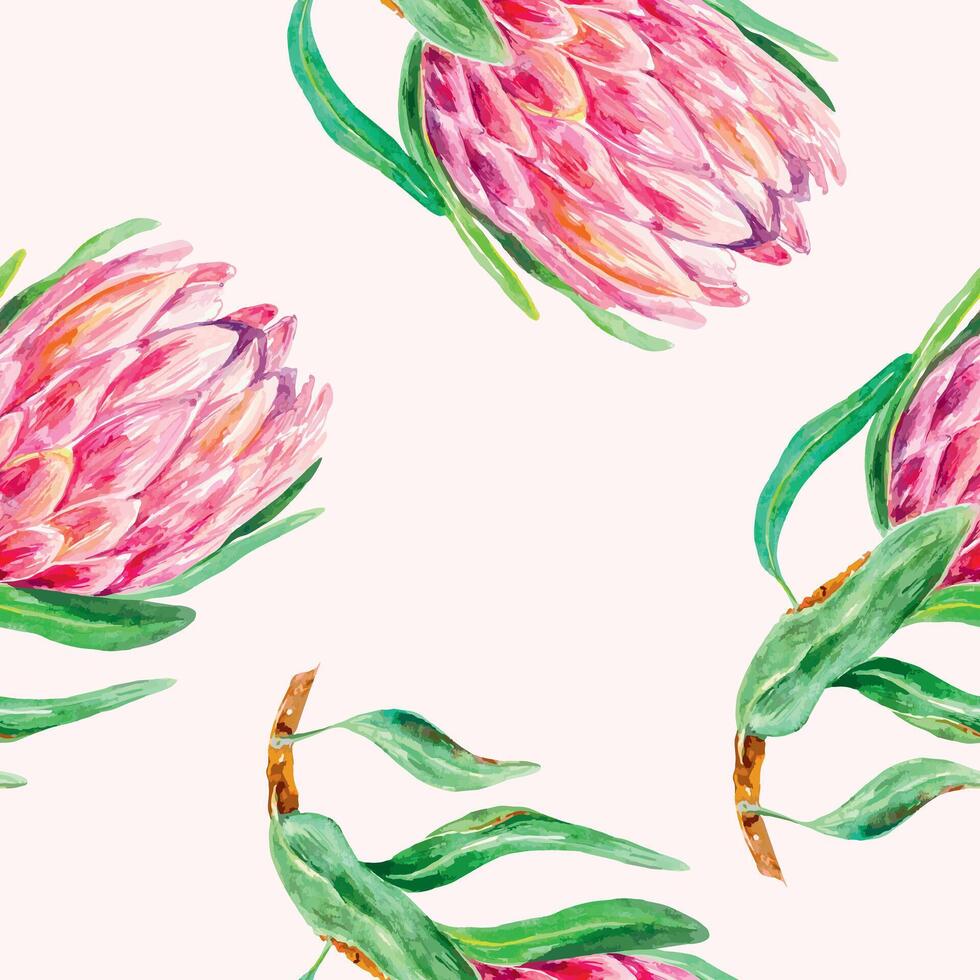 Protea watercolor, pattern. Vector illustration of pink flowers. Design element for wrapping paper, textile, wallpaper, fabric, cover, scrapbooking.