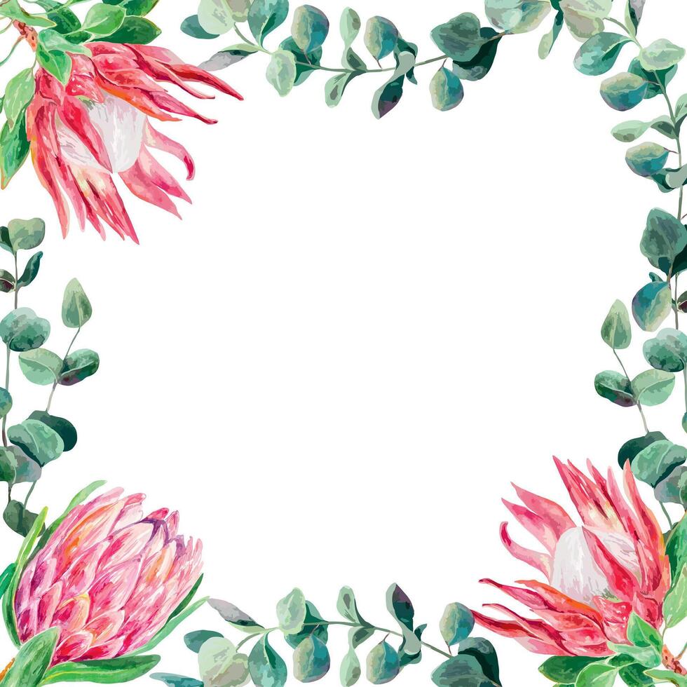 Protea watercolor, eucalyptus twigs, square frame. Vector illustration of a bouquet of pink flowers. Design element for cards, wedding invitations, banners, covers, labels, flyers.
