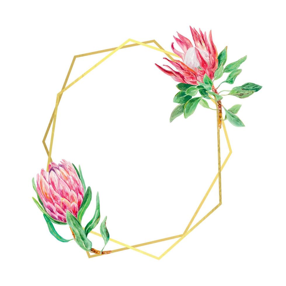 Protea watercolor, card with gold frame. Vector illustration of a pink flower. Design element for cards, wedding invitations, banners, covers, labels.