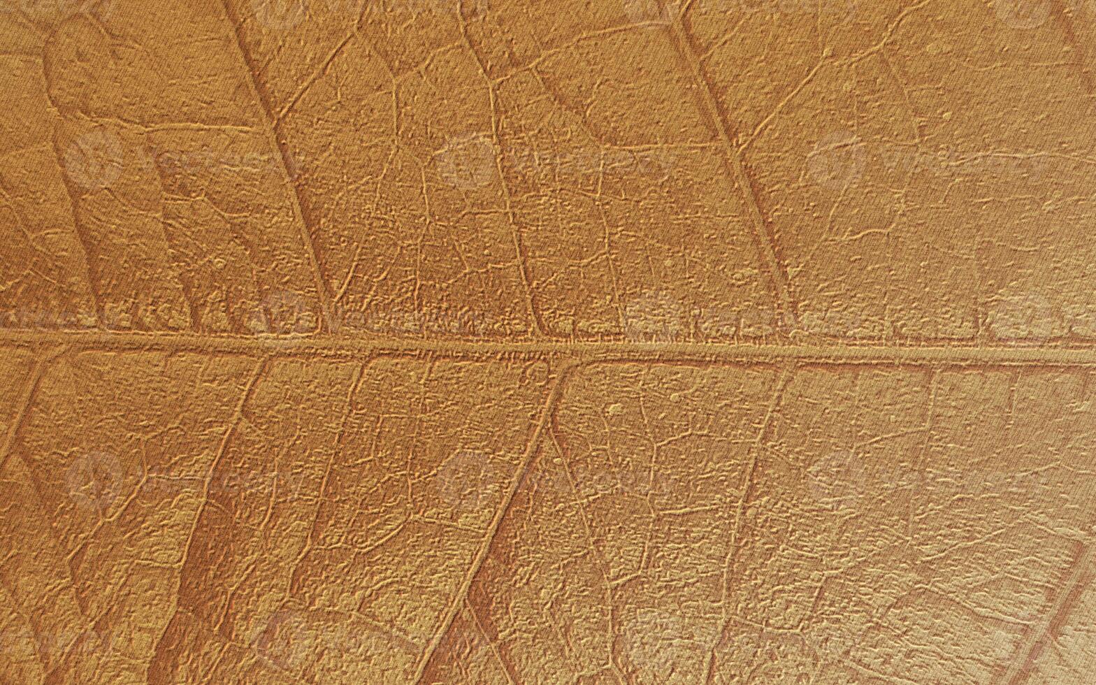 Abstract paper with cardboard texture background photo