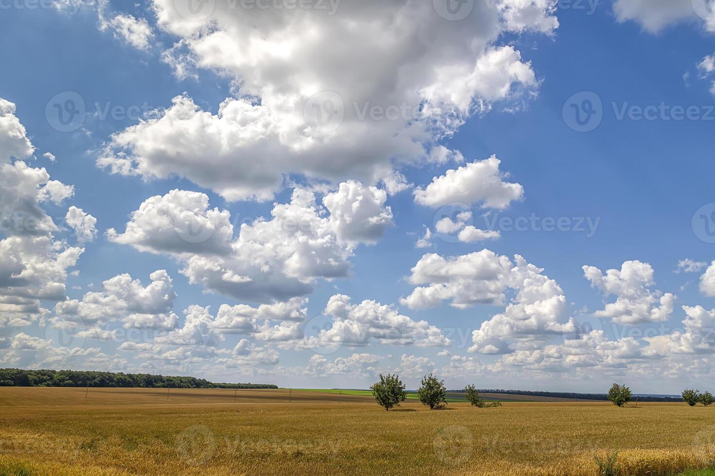 a wide scene with beautiful clouds over the field photo