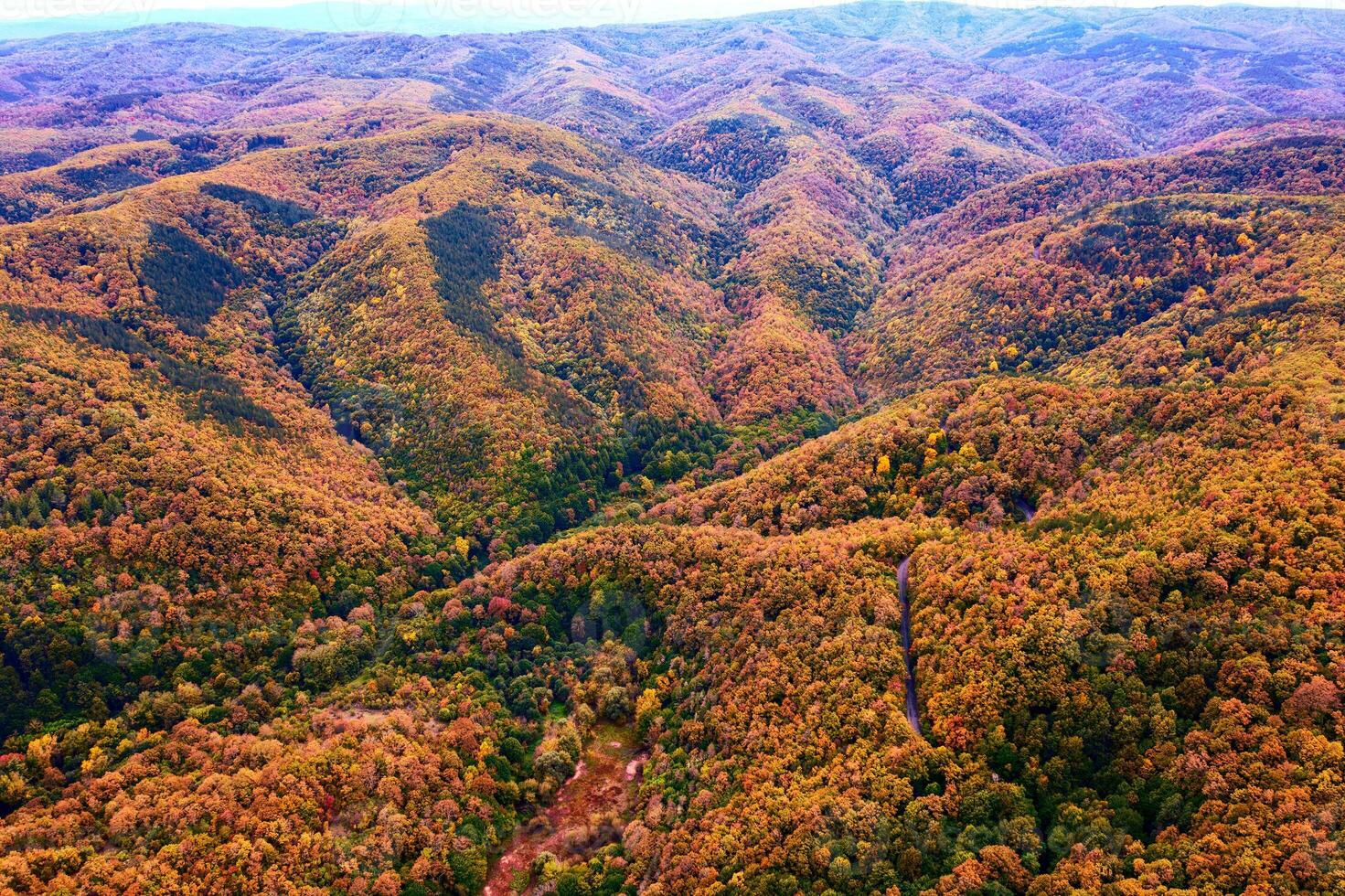aerial view of mountain hills and valley  covered with autumn colors photo