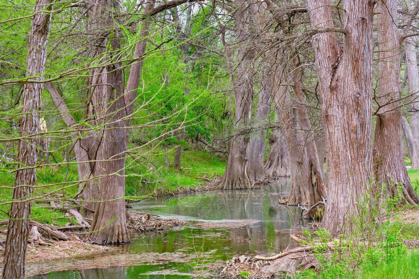 Medina river in Van Ormy Texas on an overcast morning photo