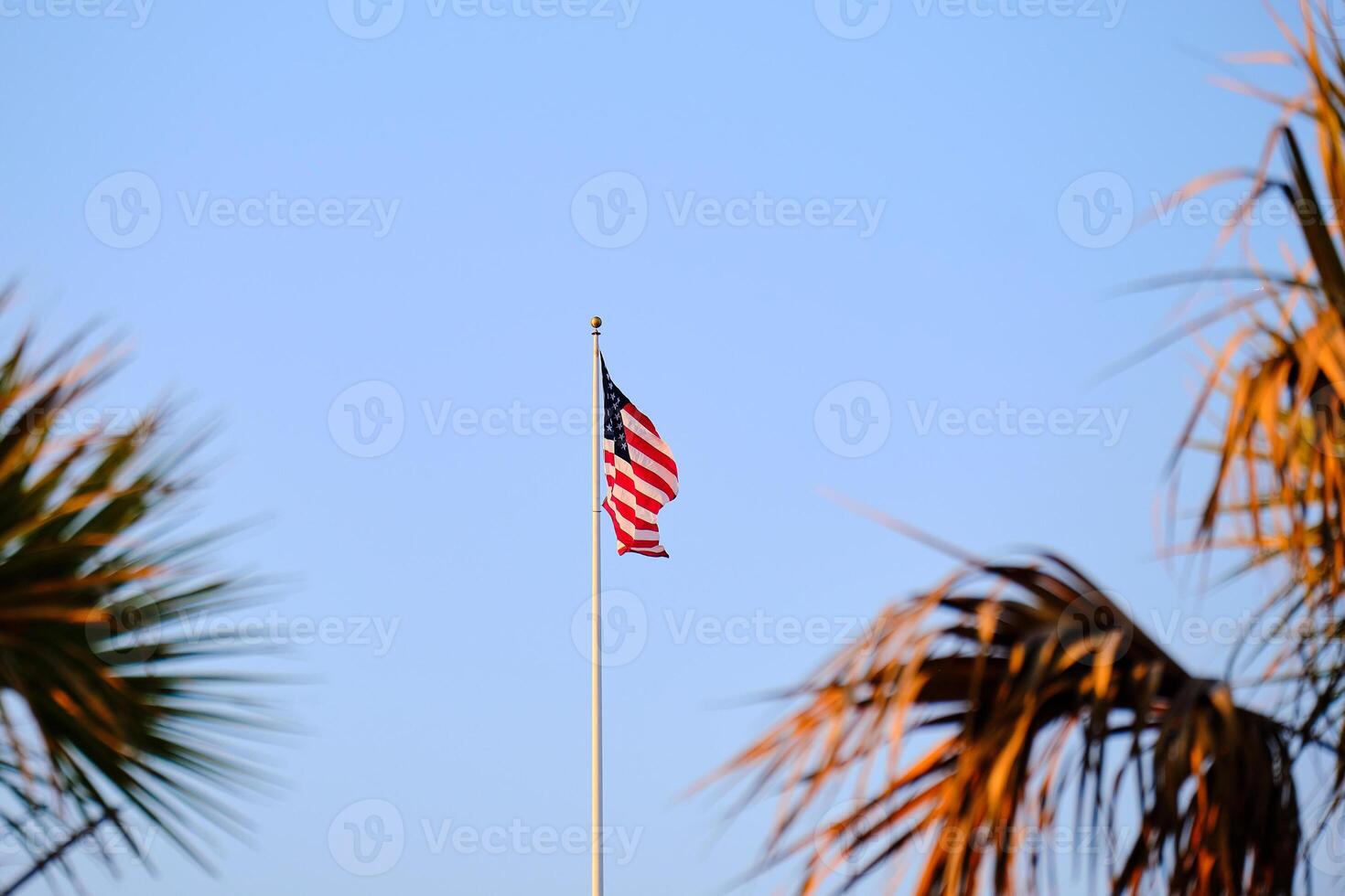 The United States of America flag bracketed by palm tree leaves photo