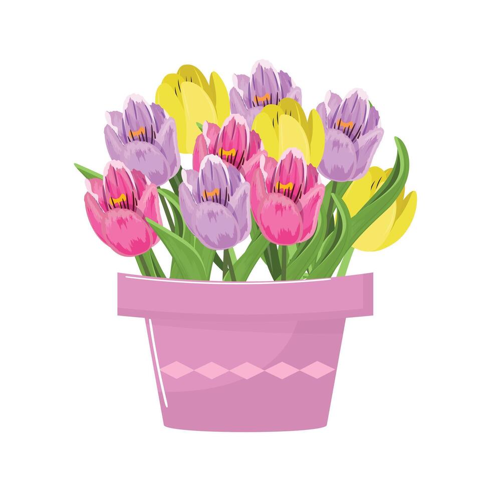 Vibrant Tulip Variety in Flower Pot. Tulips in the flower pot vector