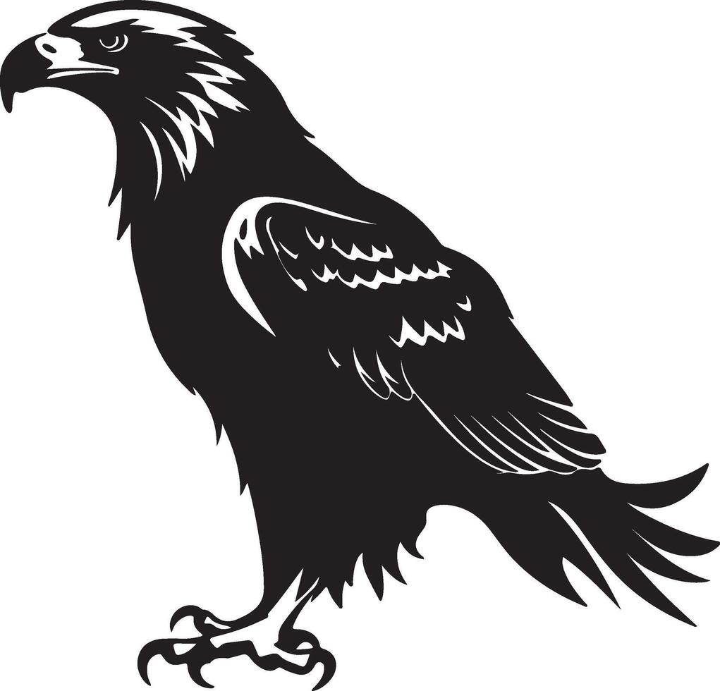 Eagle Silhouette Vector Illustration White Background