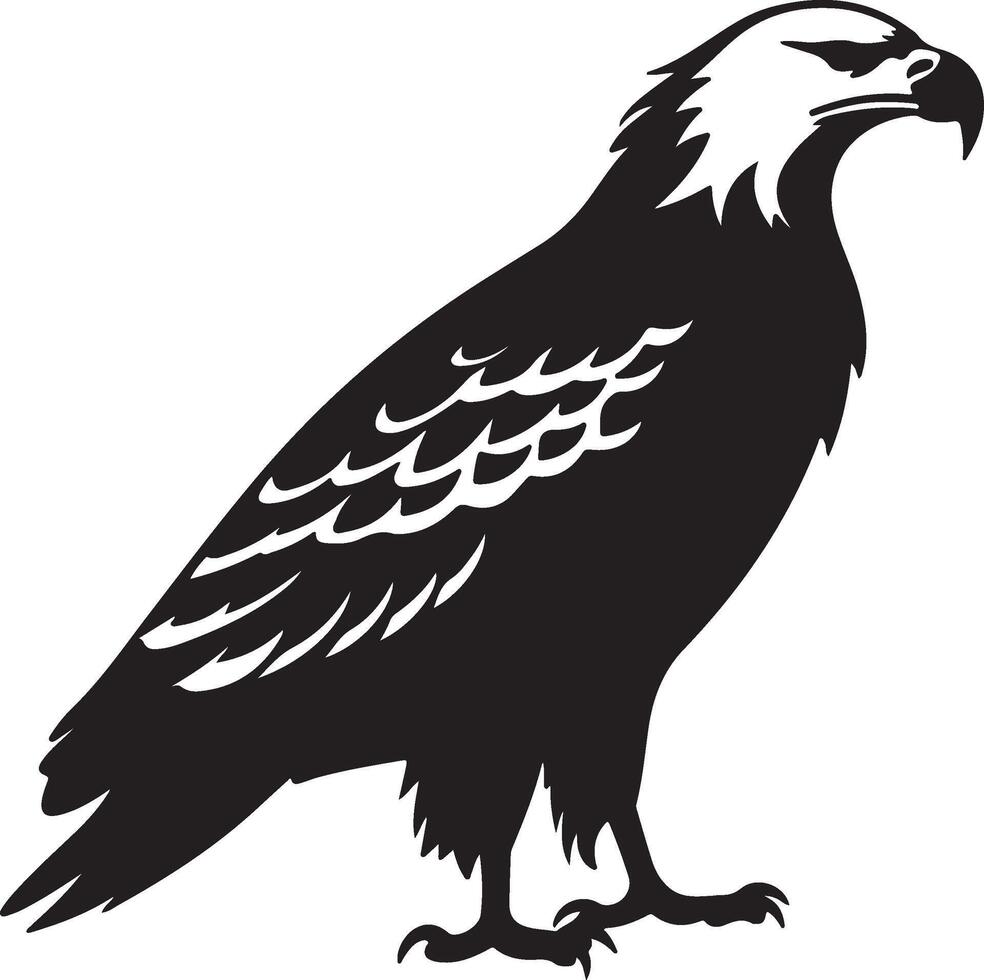 Eagle Silhouette Vector Illustration White Background