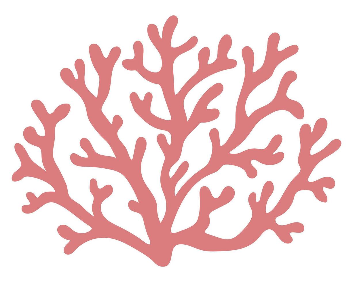 Vector pink coral icon. Under the sea illustration with cute seaweeds. Ocean plant clipart. Cartoon underwater or marine clip art for children isolated on white background