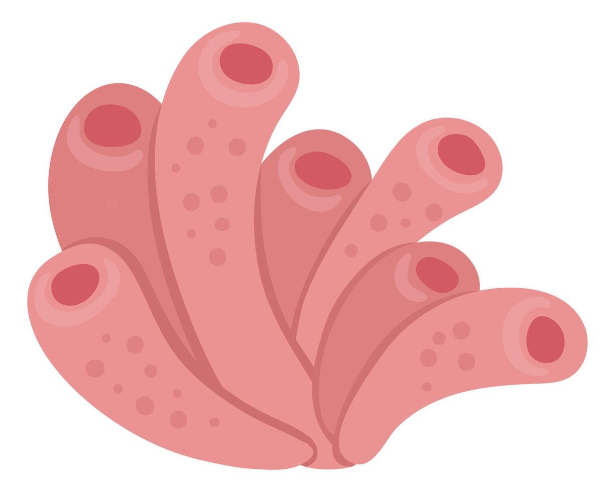 vector rosado mar anémona icono. debajo el mar ilustración con linda actinia algas Oceano planta clipart. dibujos animados submarino o marina acortar Arte para niños aislado en blanco antecedentes