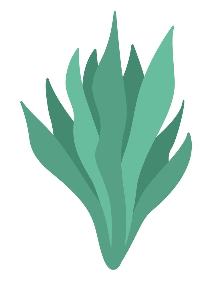 Vector green seaweeds icon. Under the sea illustration with cute kelp. Ocean plant clipart. Cartoon underwater or marine clip art for children isolated on white background