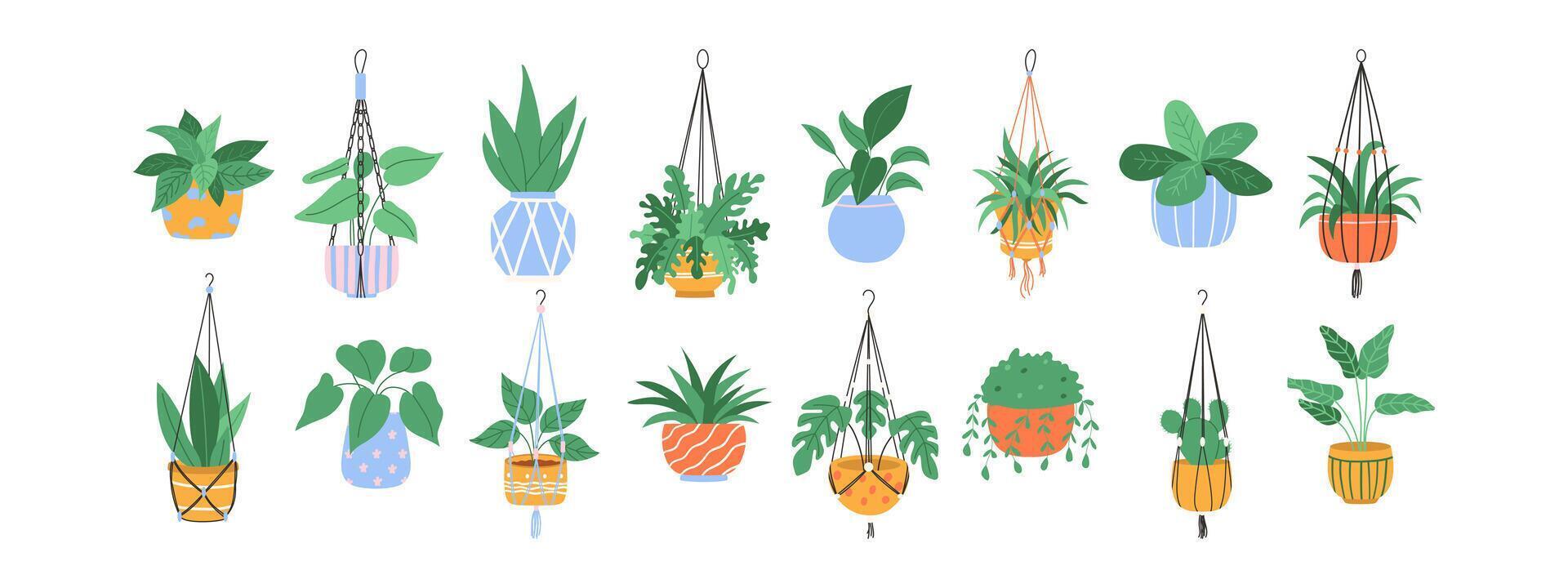 Set of macrame hangers. Home plants in stylish planters and pots. Vector illustration