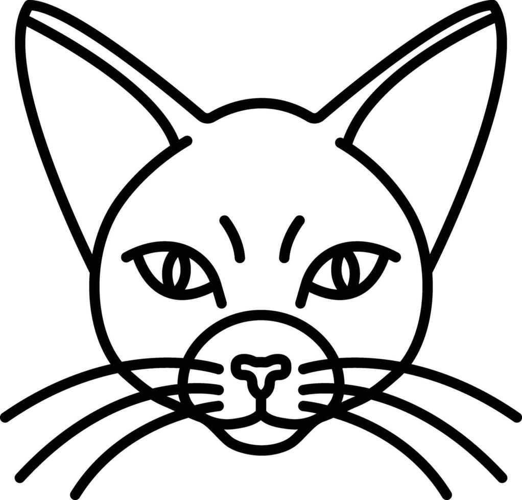 gato cara contorno vector ilustración