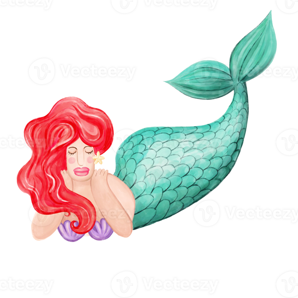 Cute cartoon fairy mermaid png