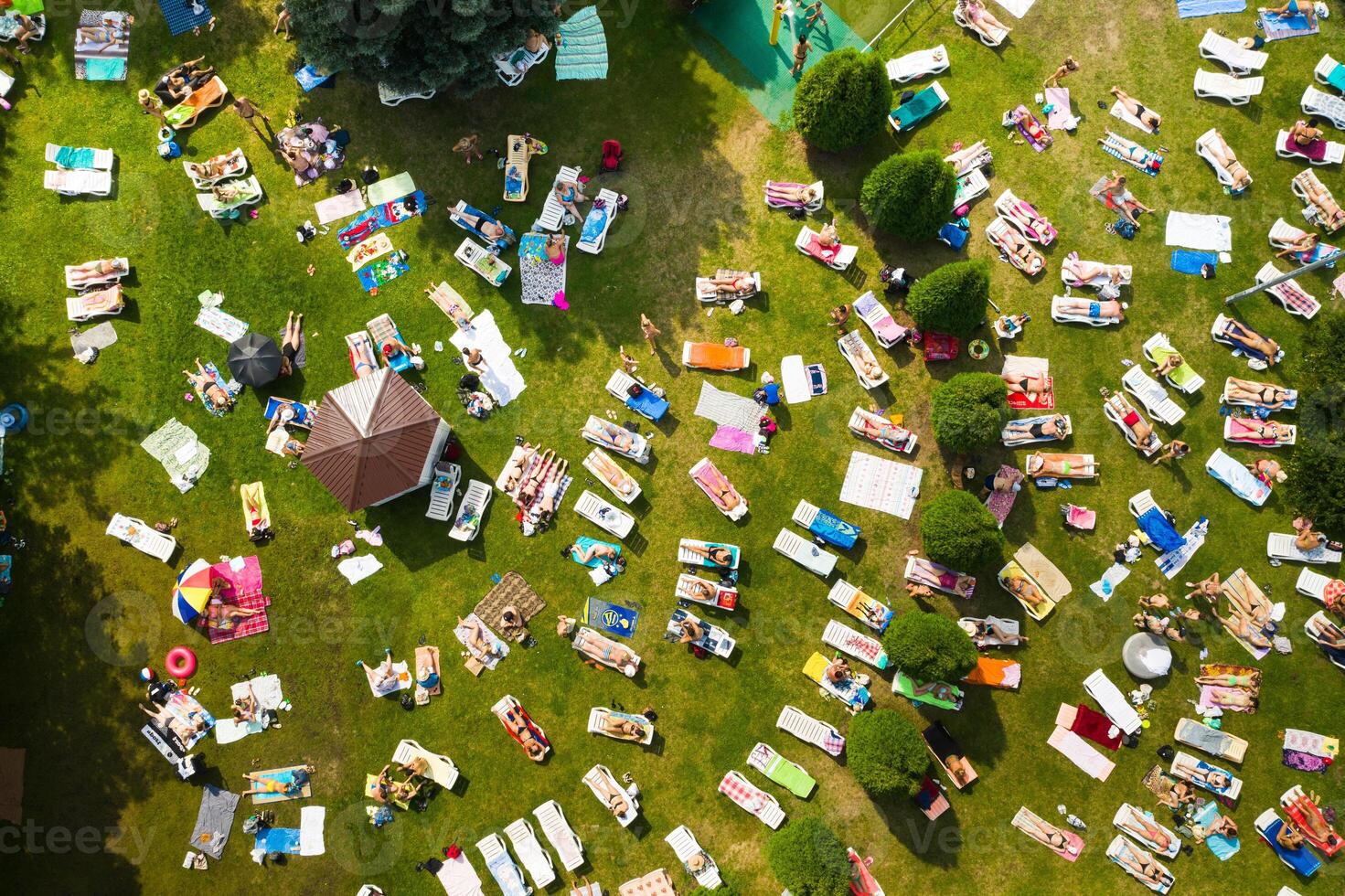 Top view of the summer recreation area for people with sun beds outside in sunny weather photo