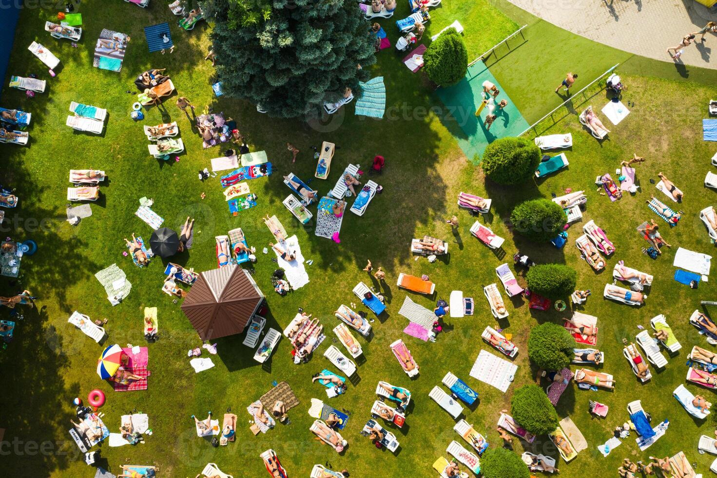 Top view of the summer recreation area for people with sun beds outside in sunny weather photo