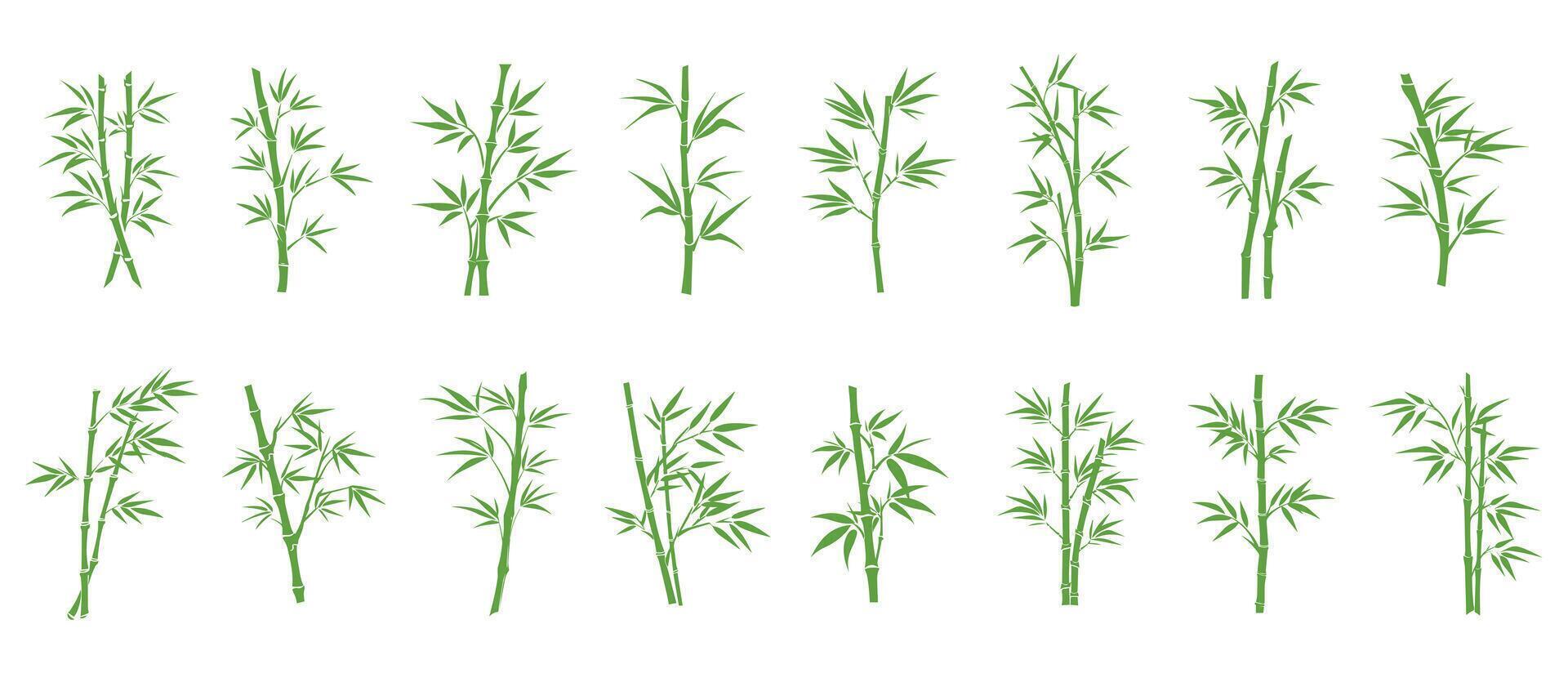 Bamboo leaves icon over white background, silhouette style, vector illustration