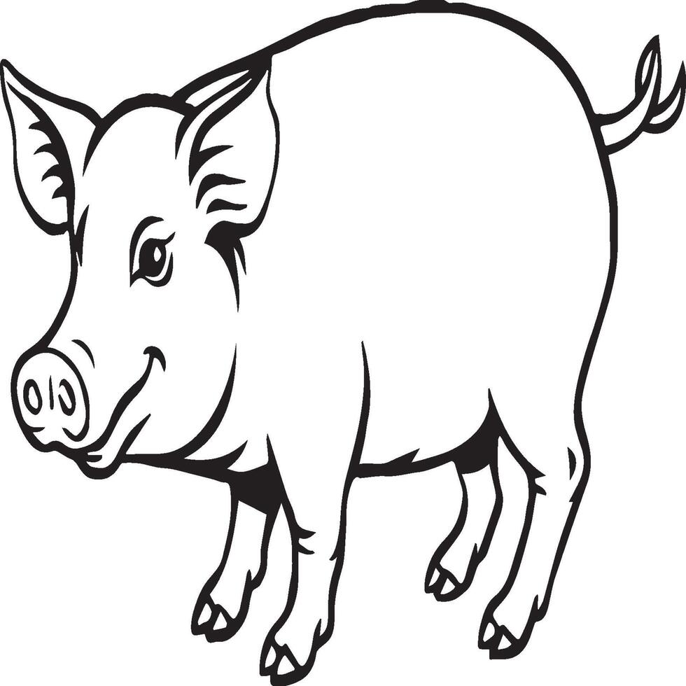 Pig coloring pages. Pig outline vector image