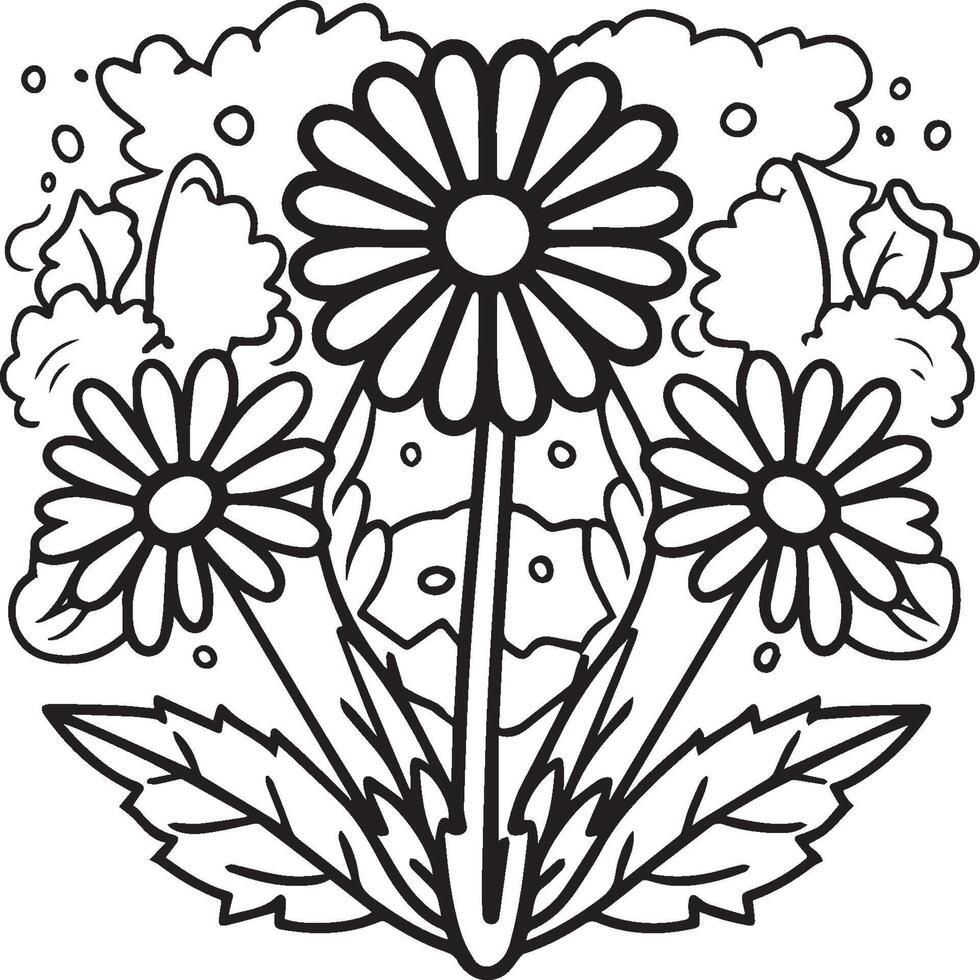 Daisy flower coloring pages. Daisy outline vector for coloring book