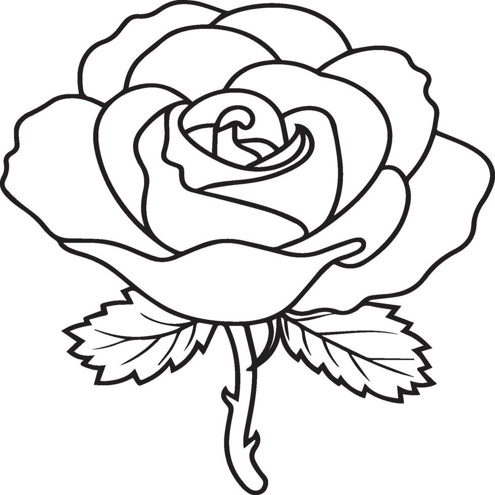 Rosa colorante paginas Rosa flor contorno vector