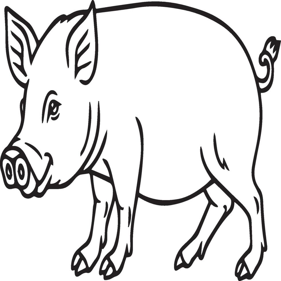 Pig coloring pages. Pig outline vector image