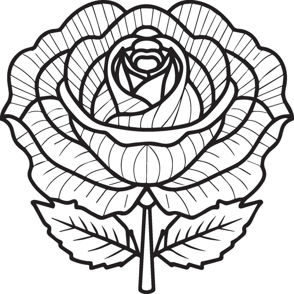 Rosa colorante paginas Rosa flor contorno vector