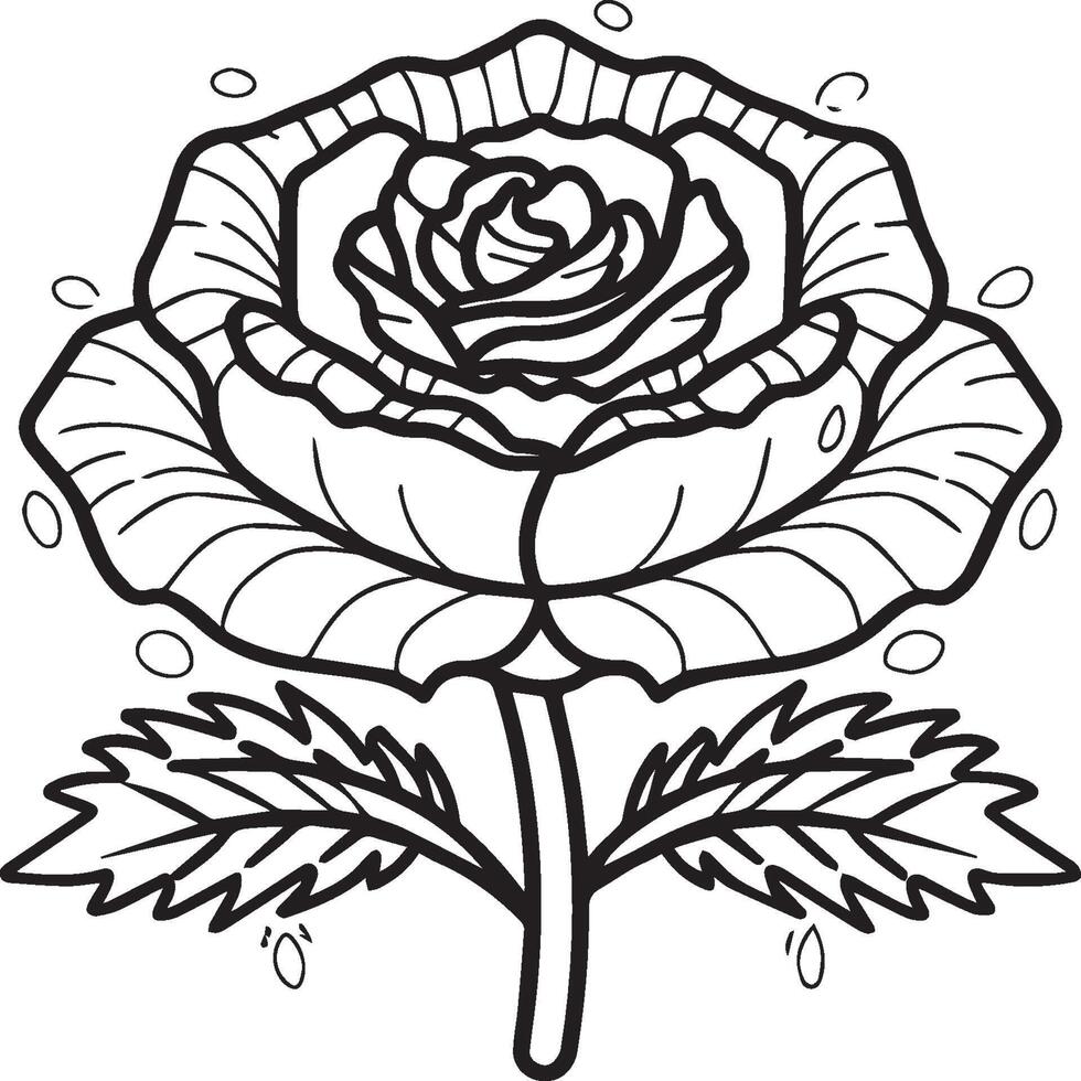 Rosa colorante paginas Rosa flor contorno vector