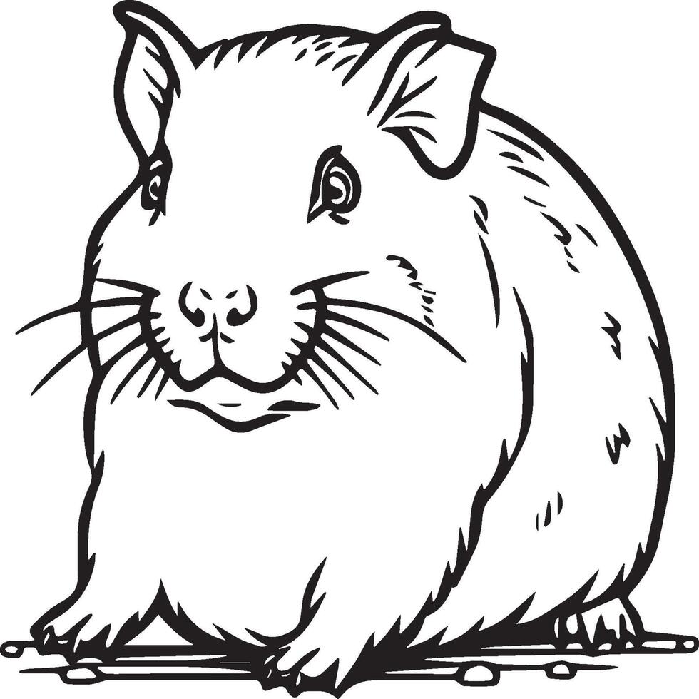 Guinea pig coloring pages. Guinea pig outline vector for coloring book