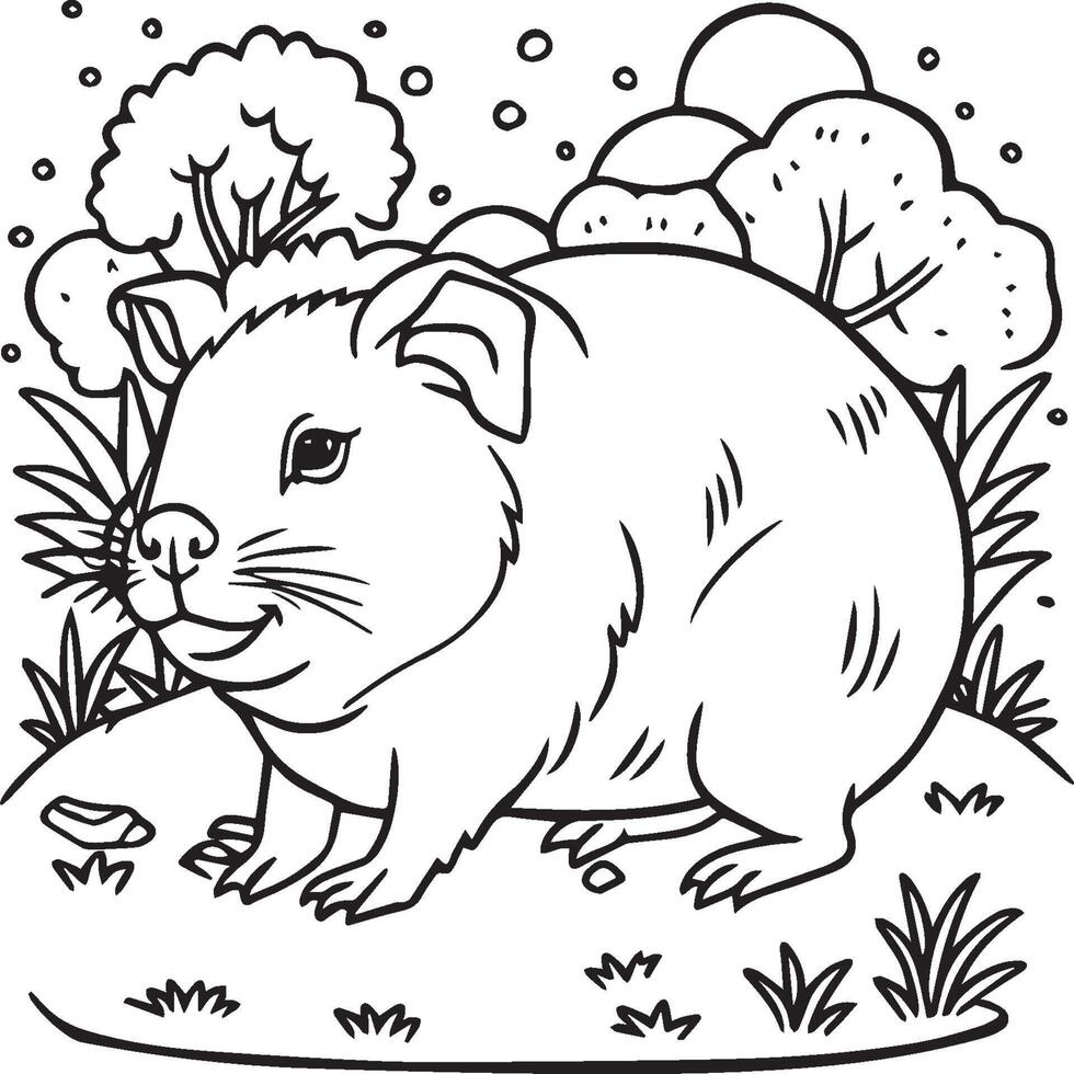 Guinea pig coloring pages. Guinea pig outline vector for coloring book