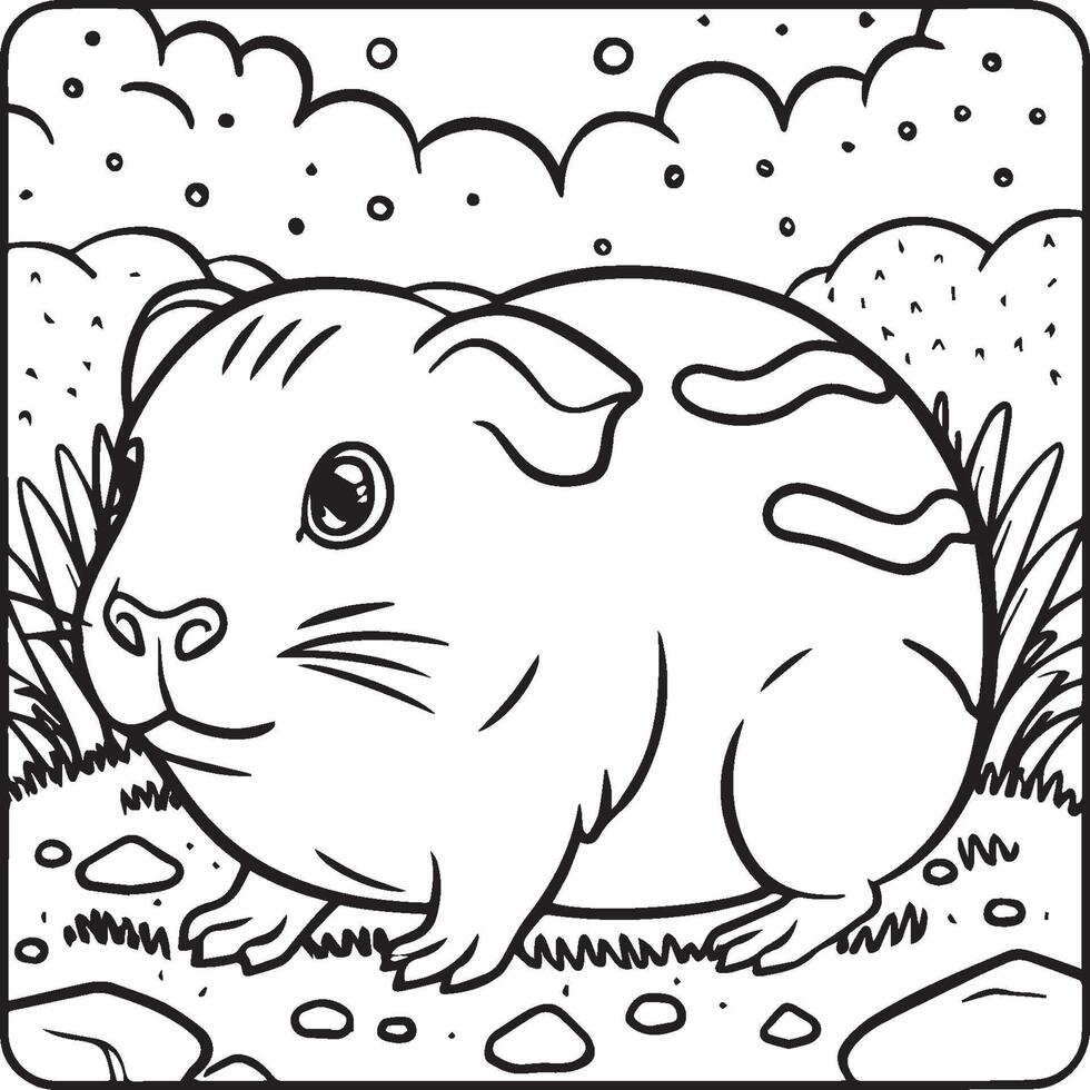 Guinea pig coloring pages. Guinea pig outline vector for coloring book