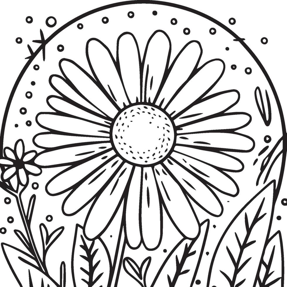 margarita flor colorante paginas margarita contorno vector para colorante libro