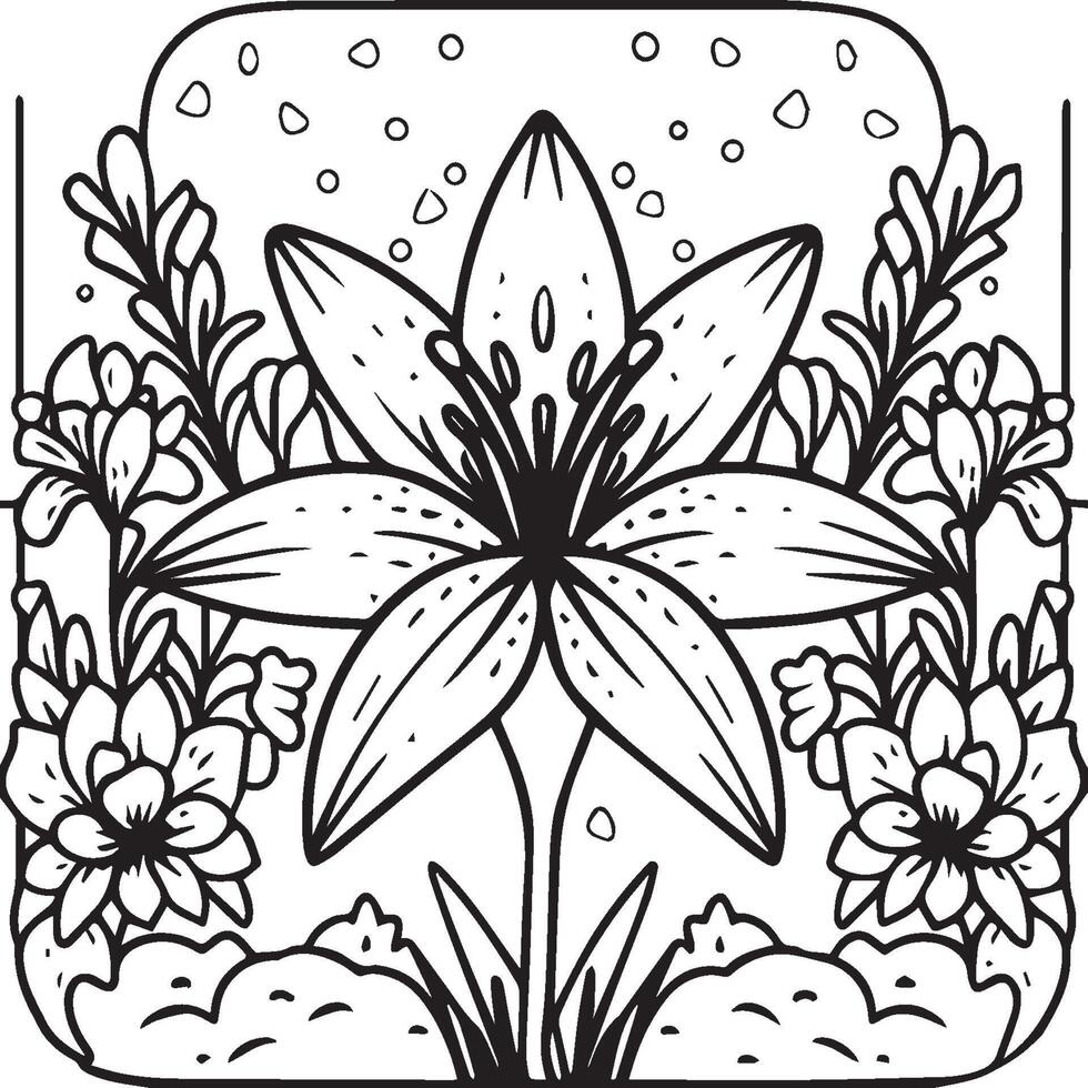 Lily coloring pages. Lily flower outline vector for coloring book