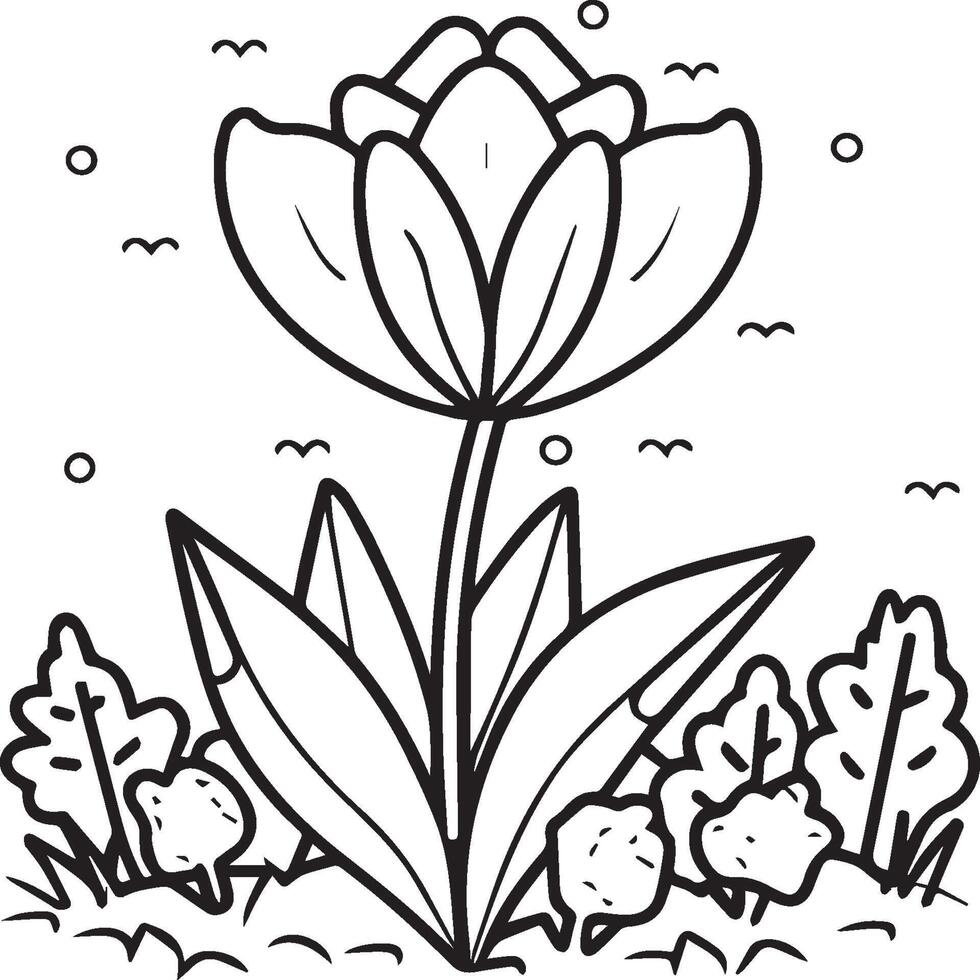 Tulip coloring pages. Tulip flower outline vector. Flowers coloring pages for coloring book vector