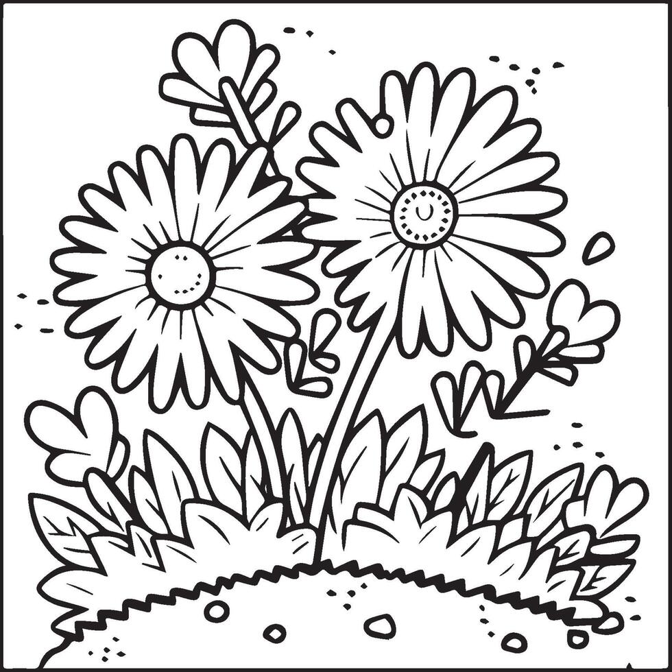 Daisy flower coloring pages. Daisy outline vector for coloring book