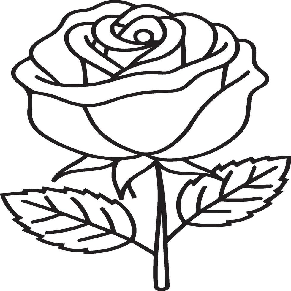 Rose coloring pages. Rose flower outline vector