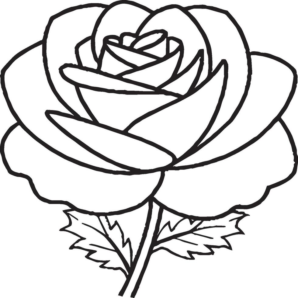 Rosa colorante paginas Rosa flor contorno vector