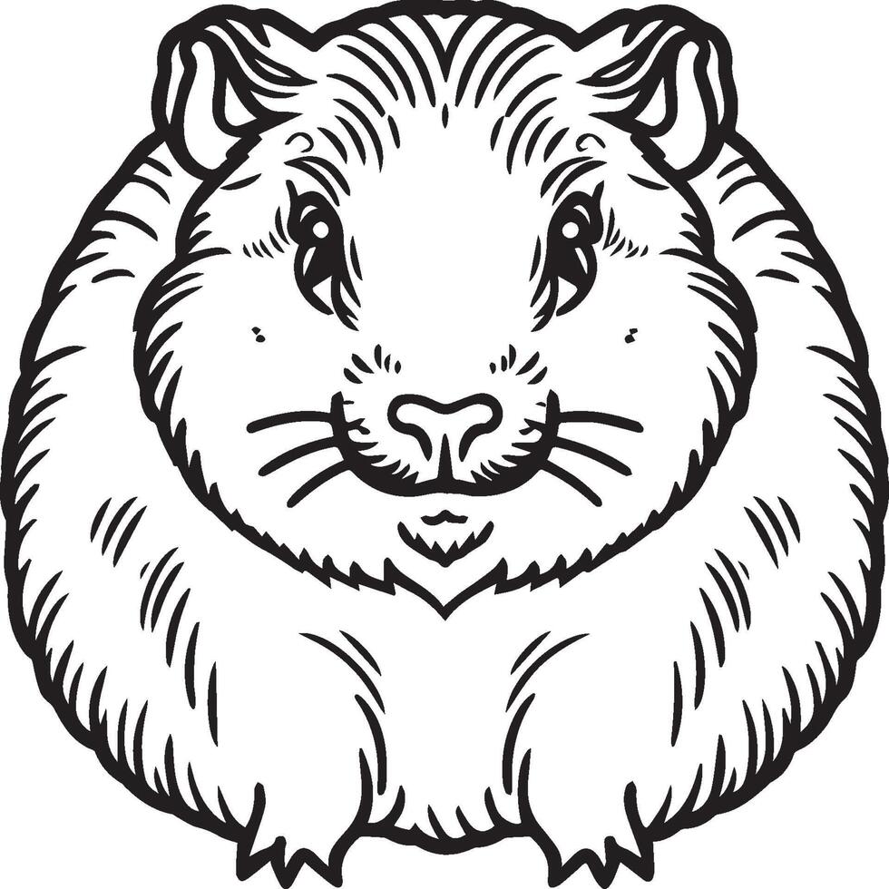 Guinea pig coloring pages. Guinea pig outline vector for coloring book