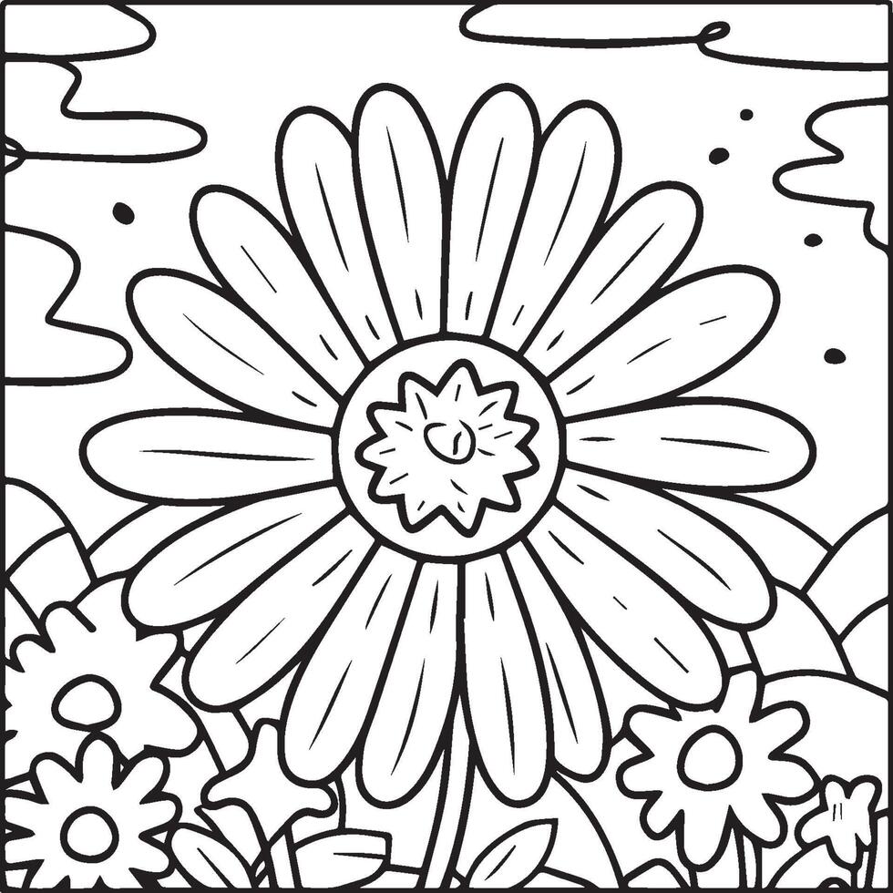 Daisy flower coloring pages. Daisy outline vector for coloring book