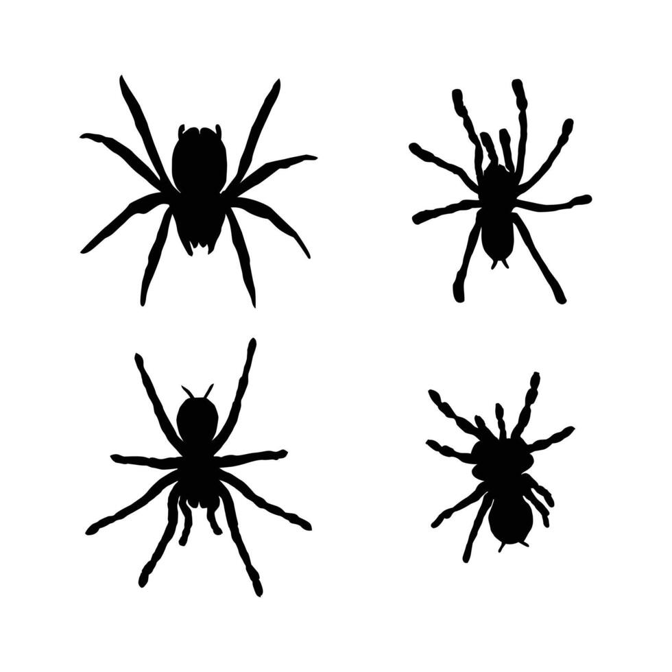 Tarantula Vector Art Silhoutte Graphics