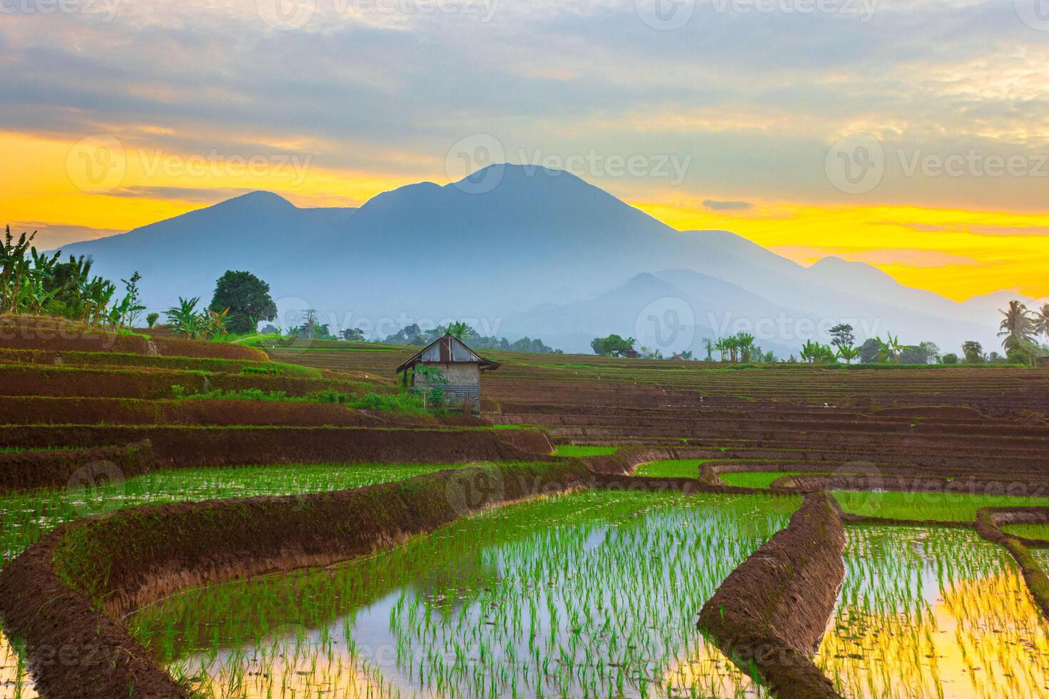 beautiful morning view from Indonesia of mountains and tropical forest photo