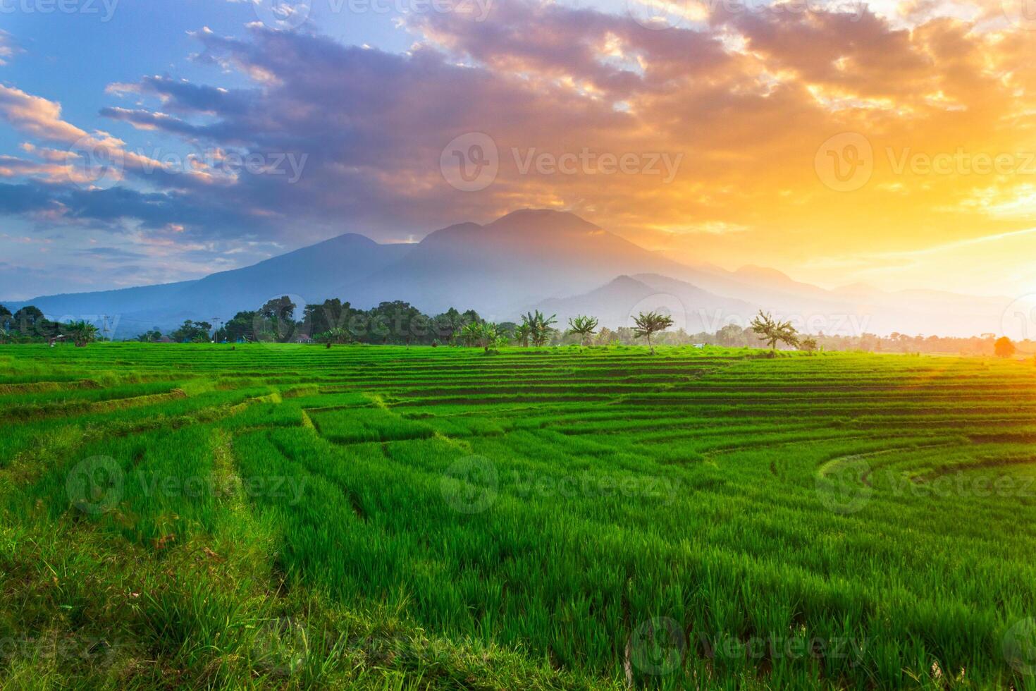 beautiful morning view from Indonesia of mountains and tropical forest photo