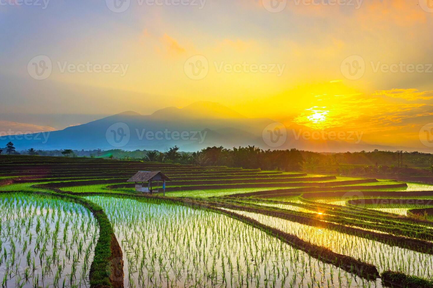 beautiful morning view from Indonesia of mountains and tropical forest photo