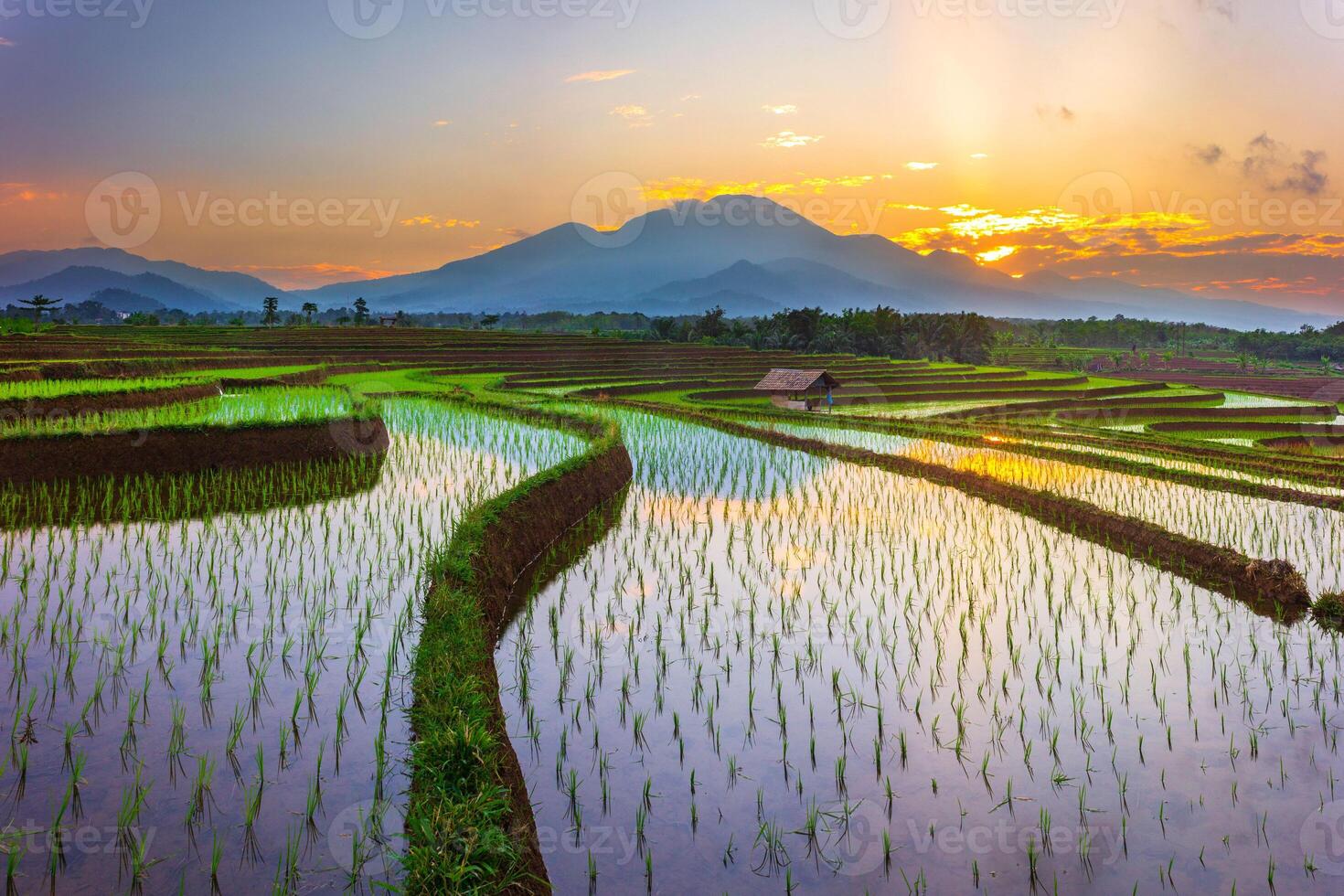 beautiful morning view from Indonesia of mountains and tropical forest photo