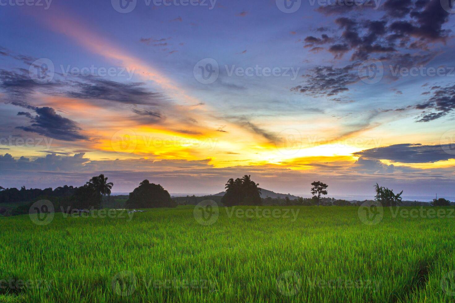 beautiful morning view from Indonesia of mountains and tropical forest photo