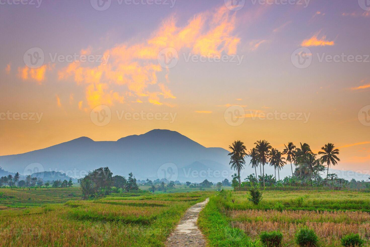 beautiful morning view from Indonesia of mountains and tropical forest photo